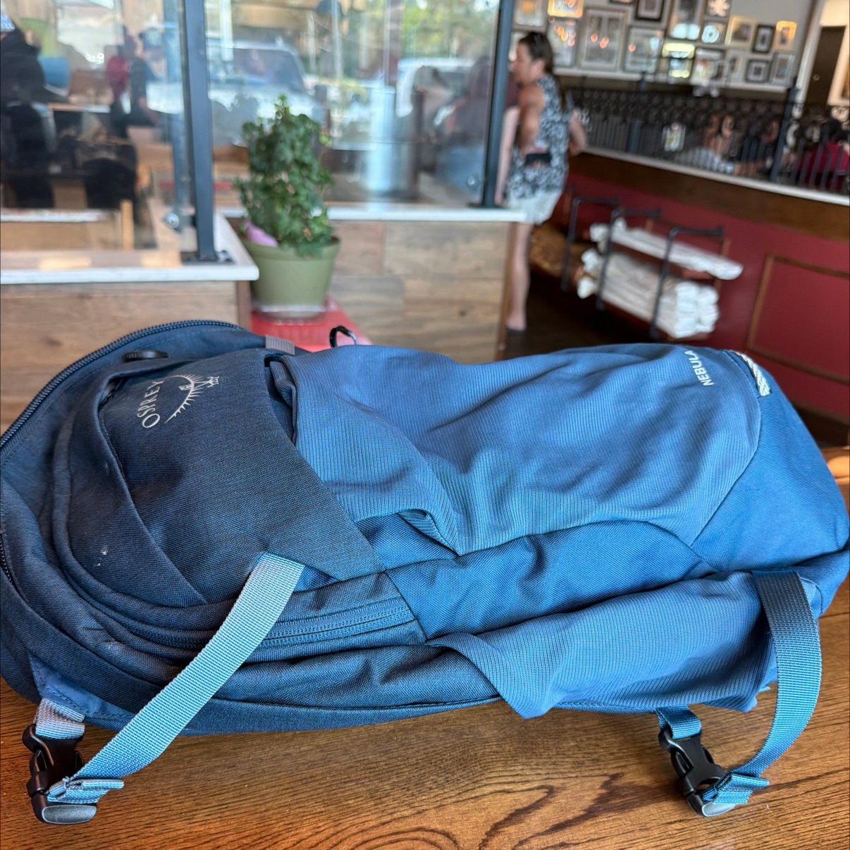 Osprey Nebula Blue Daypack Backpack - Hiking Travel Bag